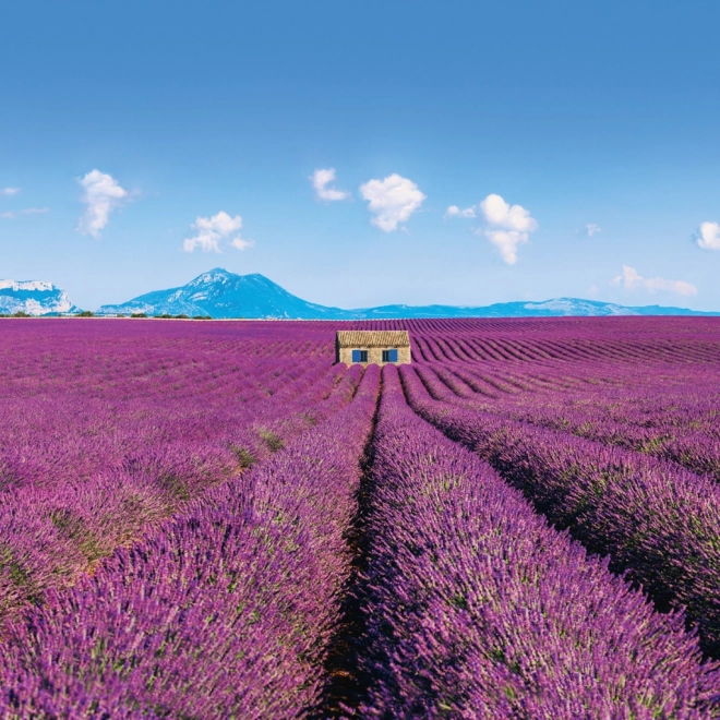Provence Jegyzetnaptár 2026