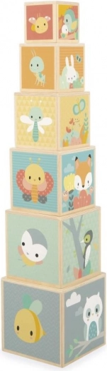 Minőségi fa kivitel illusztrációkkal