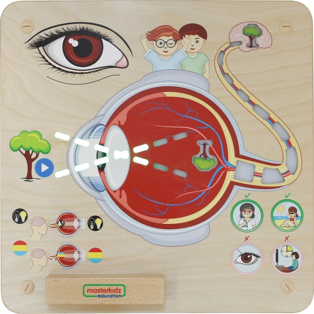 Masterkidz Oktatási észlelőtábla Montessori