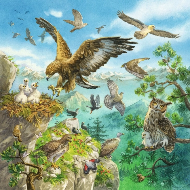 Hegyi fauna akcióban