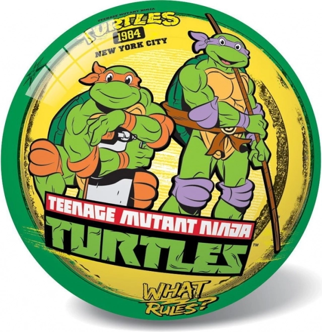 Tini Nindzsa Teknőcök retro labda 23 cm