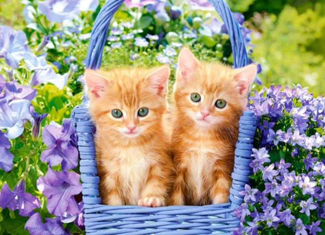 Ginger Kittens 60 darabos puzzle