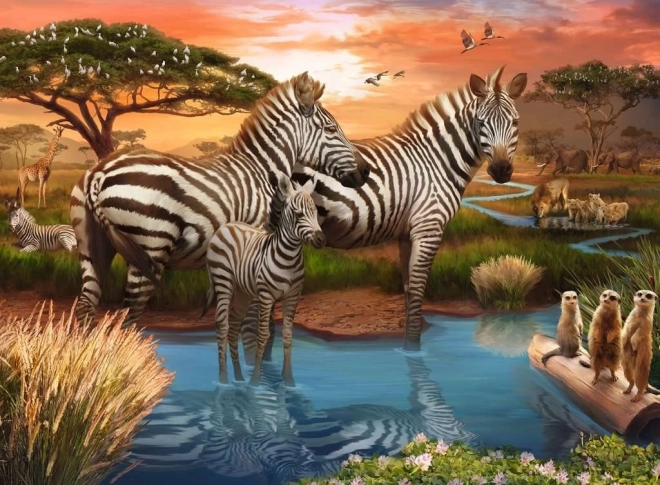 Ravensburger zebra puzzle 500 darabos