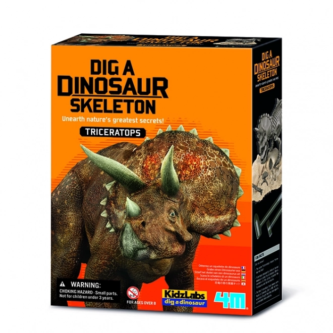 Dinoszaurusz csontváz - Triceratops