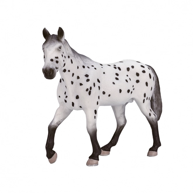 Mojo appaloosa mén