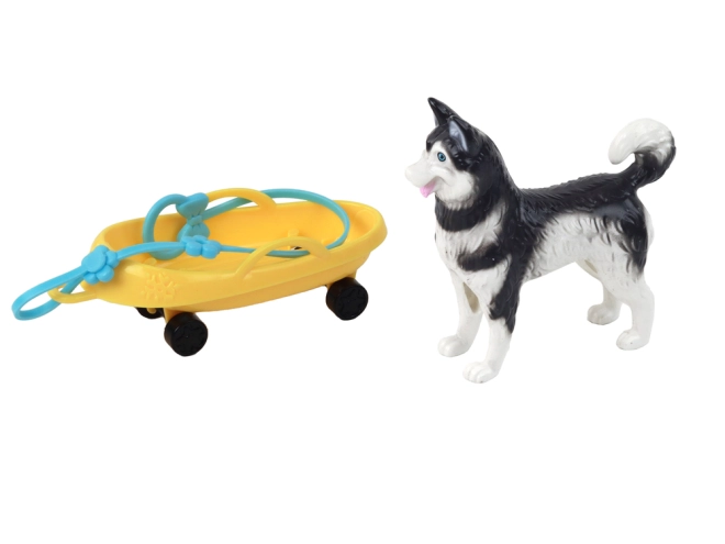 Husky kutya mint hűséges társ