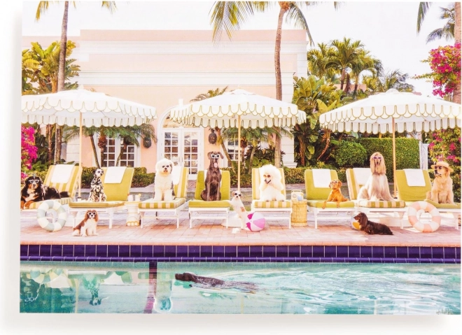 Puzzle a Palm Beach medencénél 1000 darab