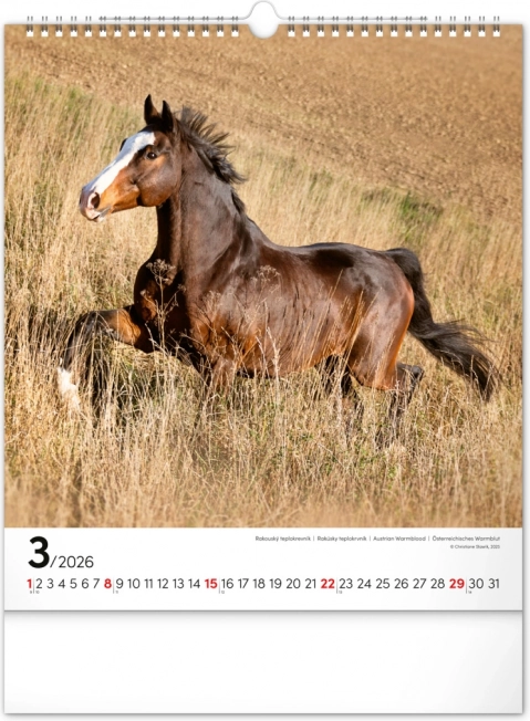 Falra szerelhető naptár Ló 2026