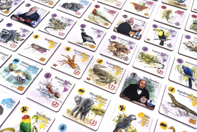 Darwin nyomában családi társasjáték