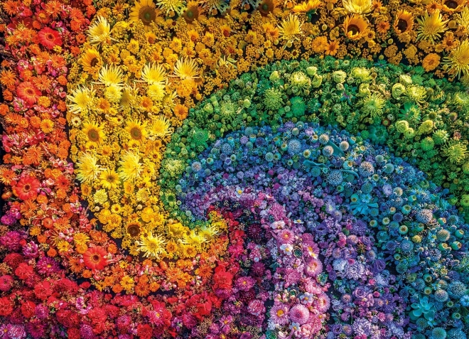 Colorboom gyűjtemény - 1000 darabos örvény puzzle