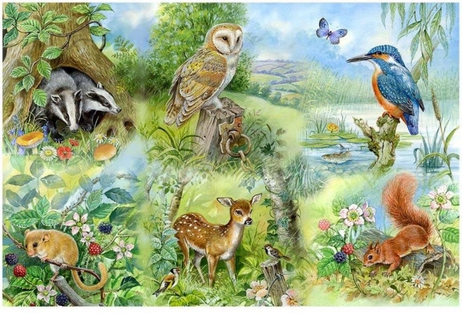 Puzzle Természet tanulmány 250 darabos