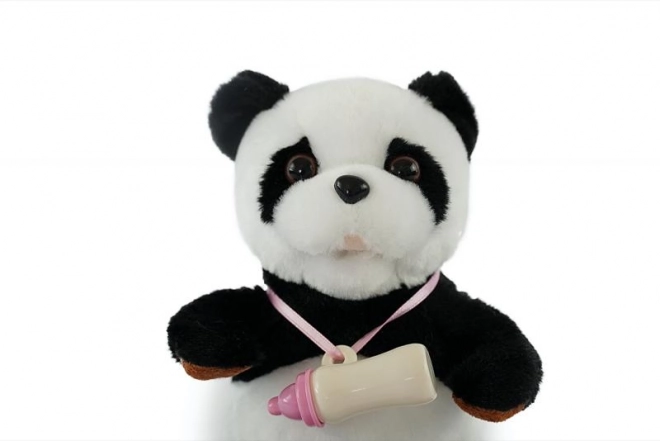 Interaktív panda üveggel