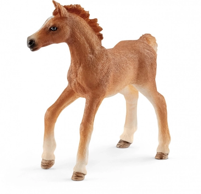 Csikó és lány kiegészítőkkel - Schleich Horse Club