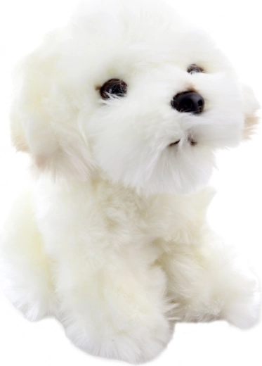 Élethű részletek egy bájos kölyökön