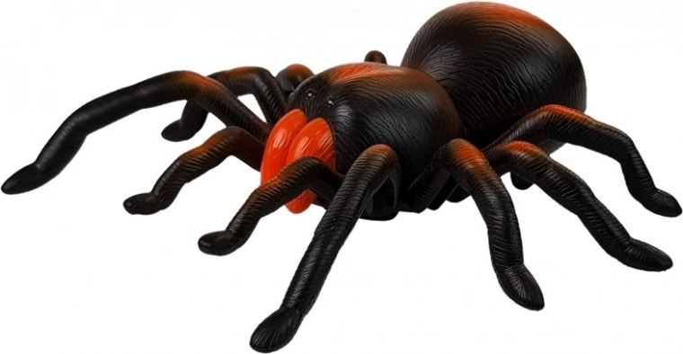 Valósághű megjelenés és mozgás