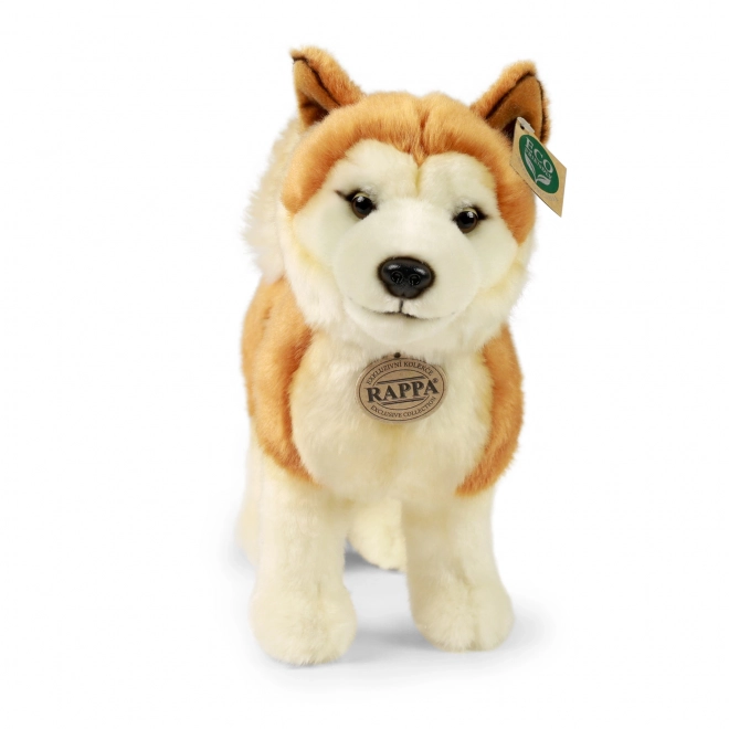 ECO-FRIENDLY plüss Akita Inu kutya 30 cm