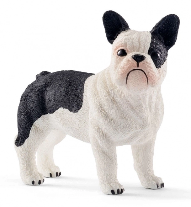 francia bulldog figura