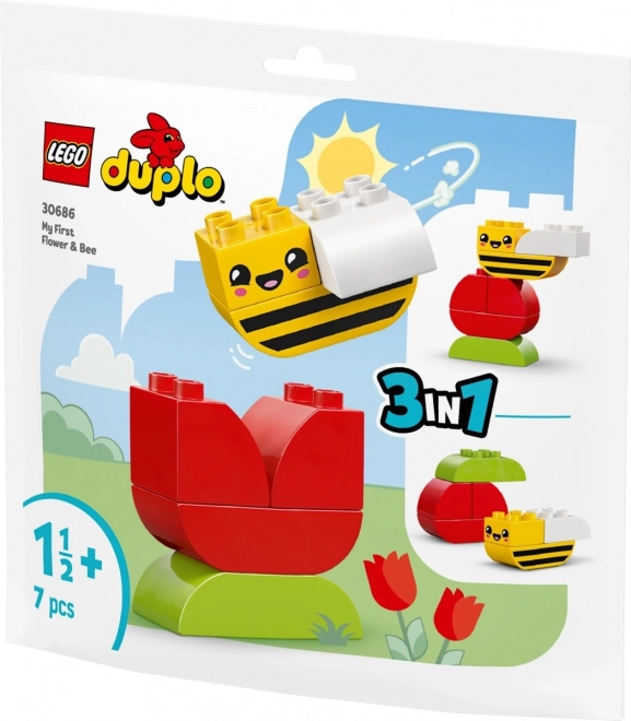 Duplo első virágom és méhem