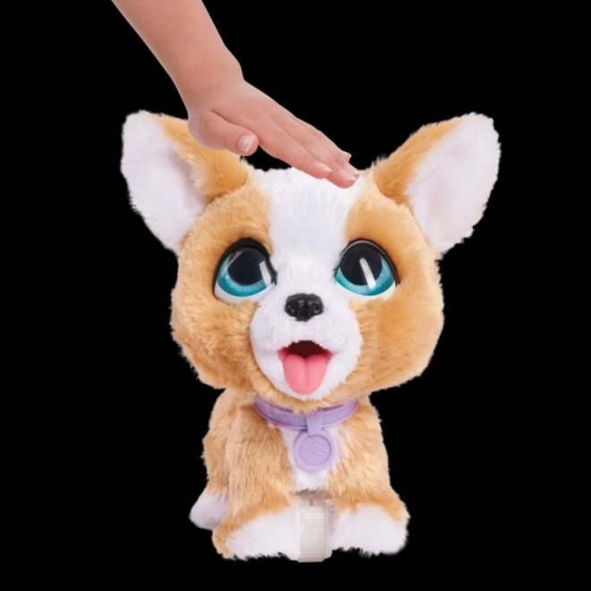 FurReal sétáló corgi kutyus