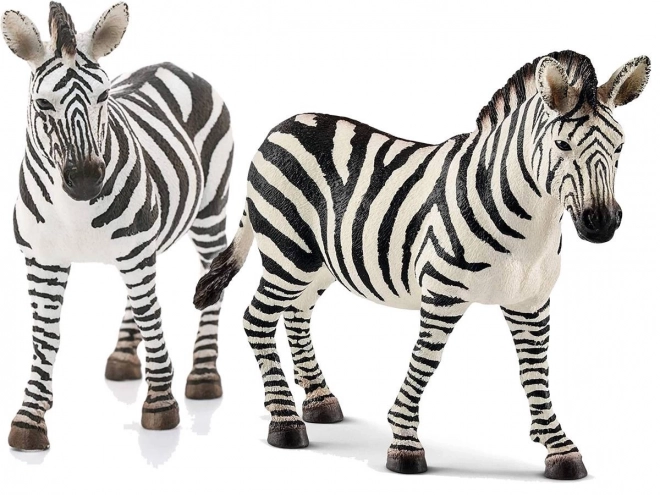 zebra nőstény figura