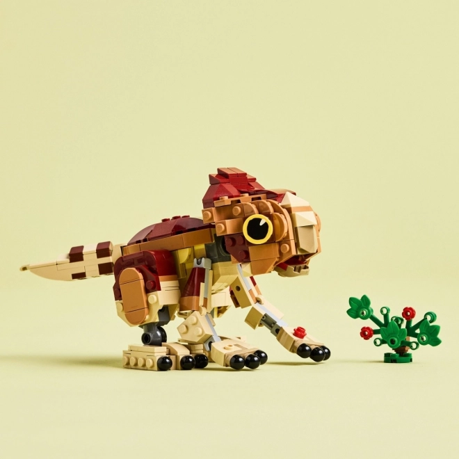 LEGO Jurassic World Kis dinoszaurusz Dolores: Aquilops