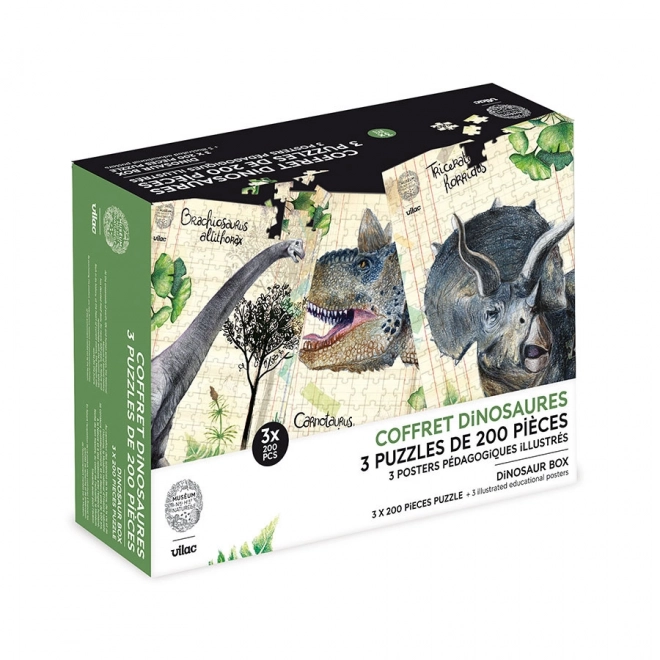 3D dinoszaurusz puzzle készlet