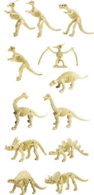 Dinoszaurusz Csontváz Készlet - 12 Fajta