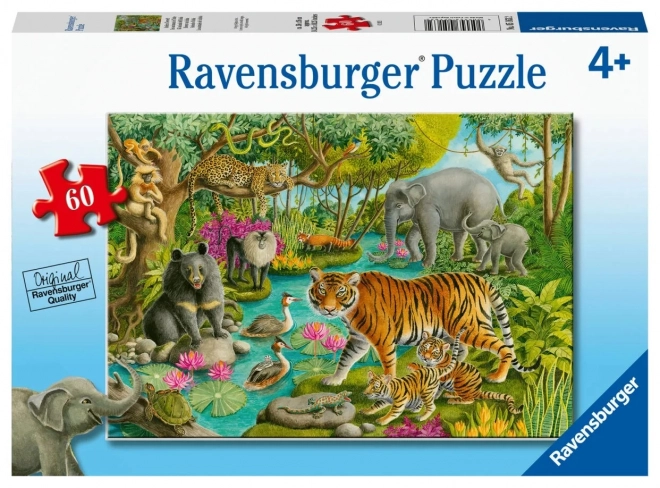 Ravensburger állatok indiában puzzle 60 darabos