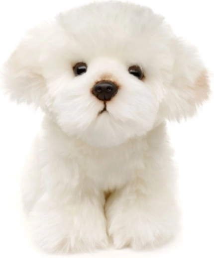 Környezetbarát és biztonságos kivitel