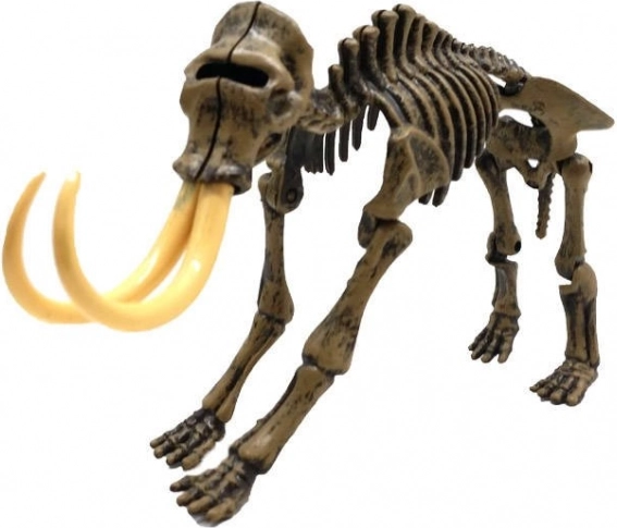 Élethű 3D mamutcsontváz