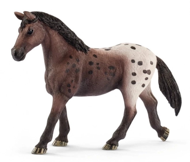 Schleich Horse Club appaloosa kanca