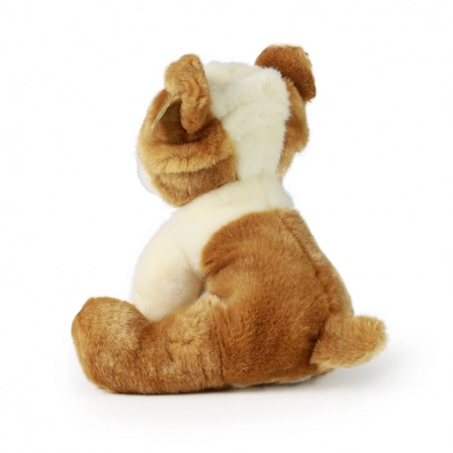 Rappa plüss bulldog környezetbarát