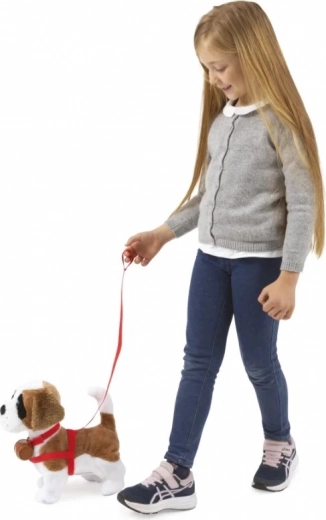 Pórázon sétál és hallgat a tapsra