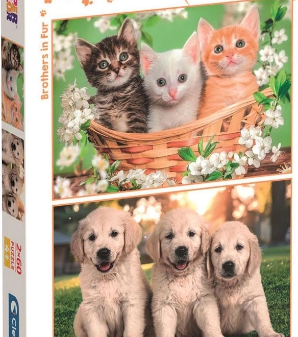 Puzzle Szőrös testvérek
