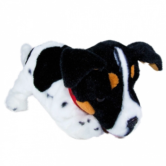 Interaktív Figo kutya reagáló Jack Russel Terrier