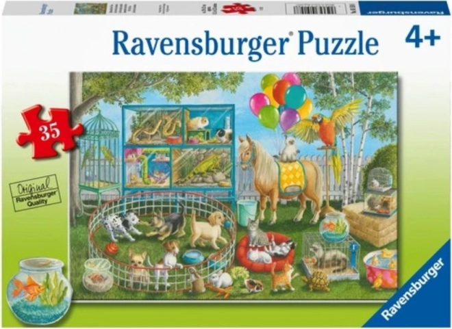 Szórakozás háziállatokkal puzzle 35 darabos - Ravensburger