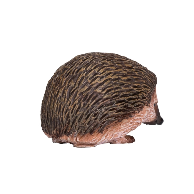 Oktatási célú