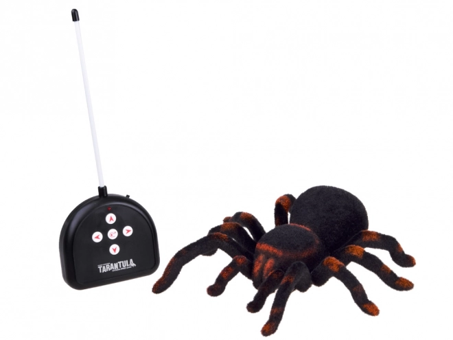 Távirányítós tarantula pók