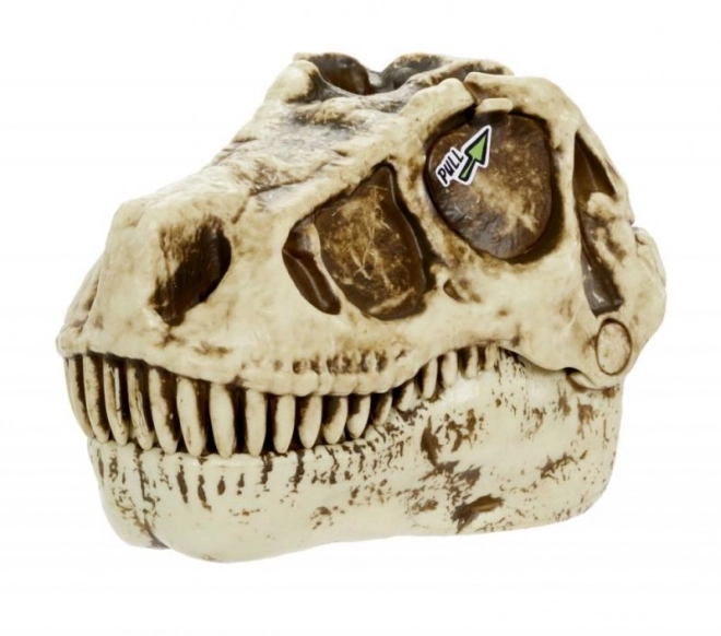 GrossMos dinoszaurusz koponya, 1. sorozat