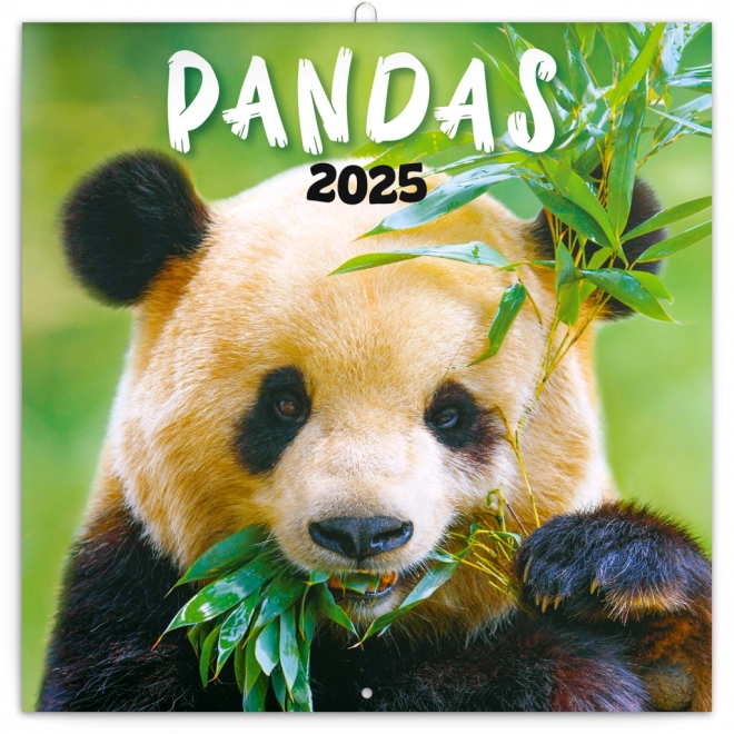 Notique panda határidőnapló 2025