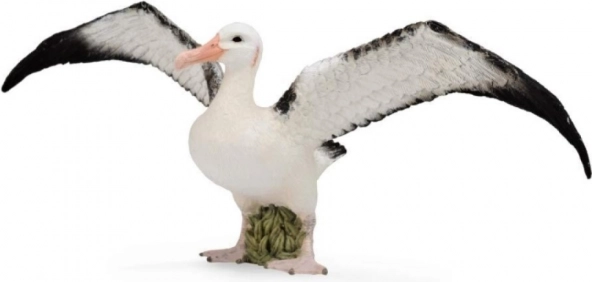 Albatros stěhovavý figura