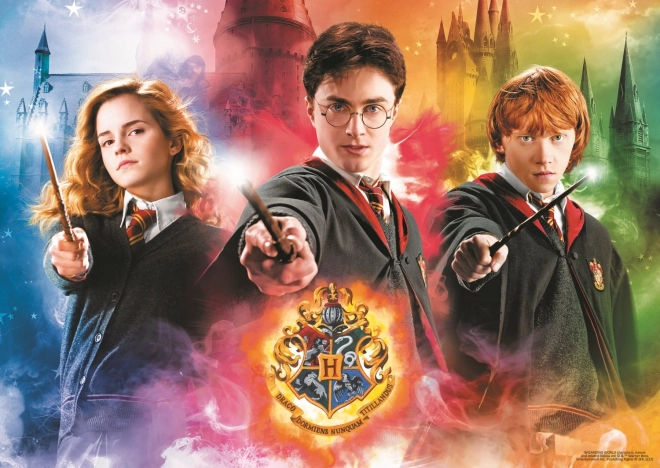 Harry Potter puzzle szett 10 az 1-ben