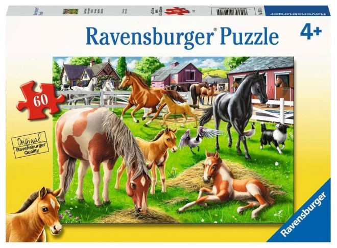 ravensburger boldog lovak puzzle