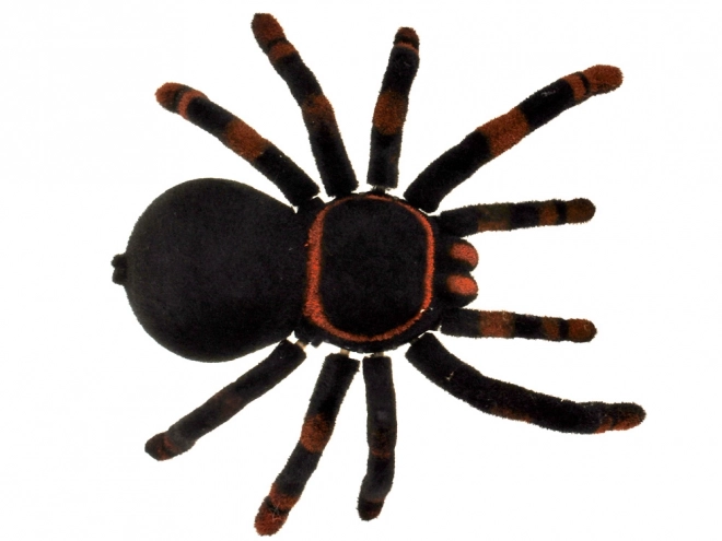 Távirányítós tarantula pók