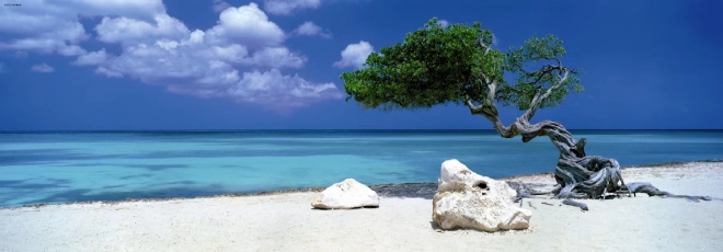Panorámakirakó Divi Divi fa Arubán 1000 darab HEYE