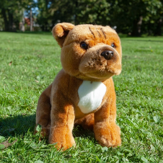 Ülő Staffordshire Bullterrier Plüsskutya 30 cm