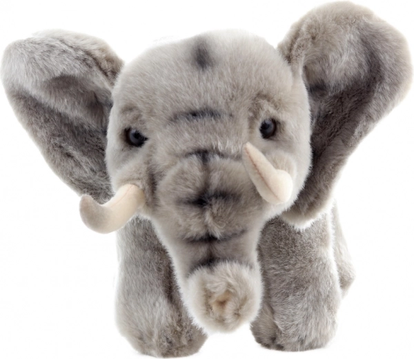 Környezetbarát anyagok