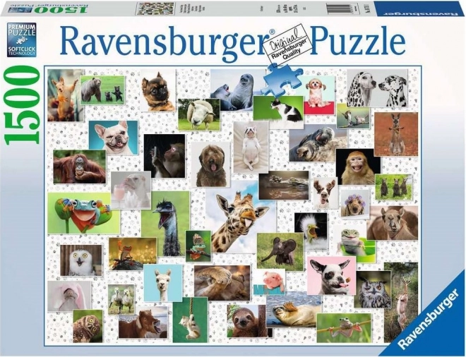 Ravensburger - vicces állatok puzzle 1500 darabos