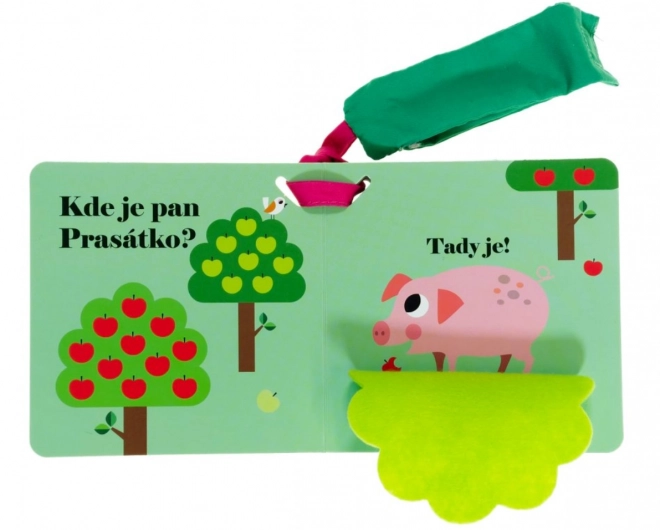 Hol van Tyúkanyó? Babakocsi könyv
