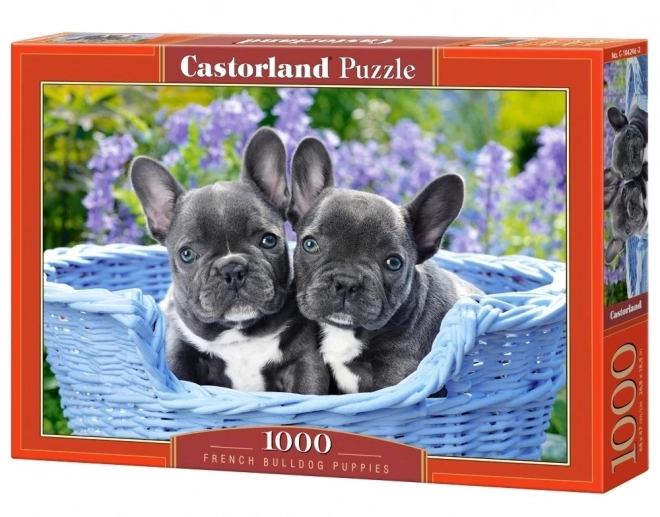 Francia bulldog kölyök puzzle - 1000 darabos